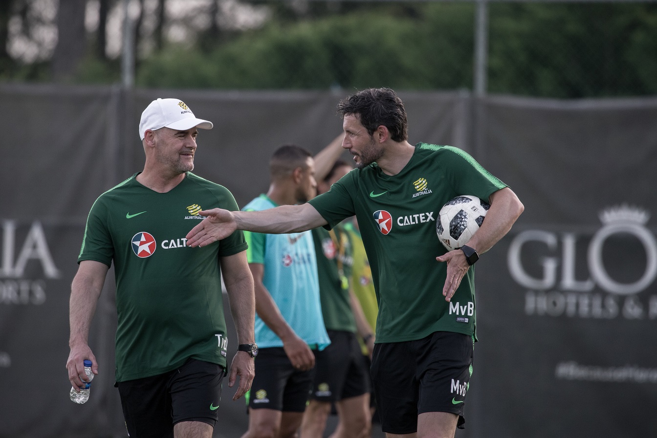 mark van bommel mark van bommel