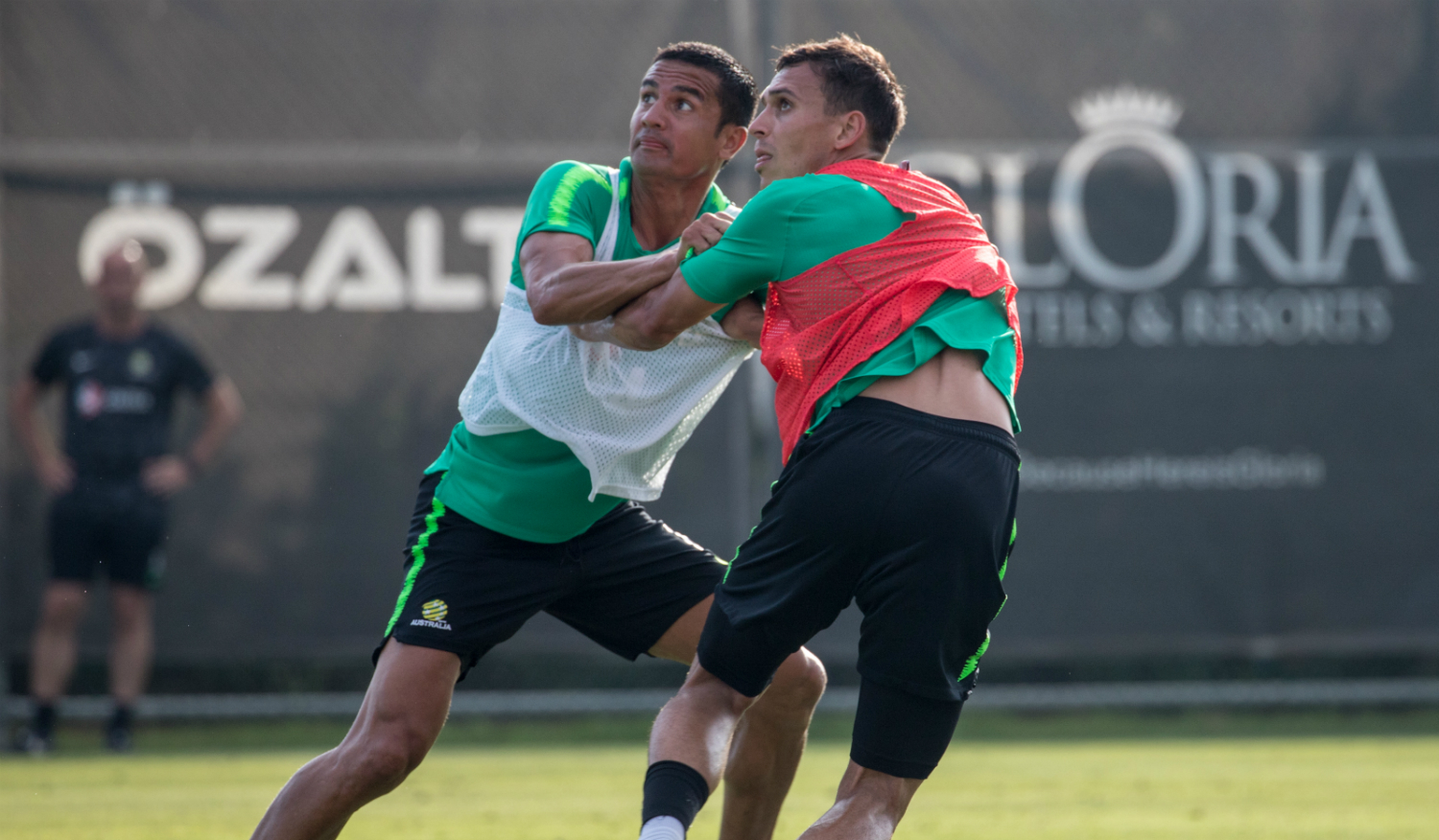 Tim Cahill and Trent Sainsbury Tim Cahill and Trent Sainsbury