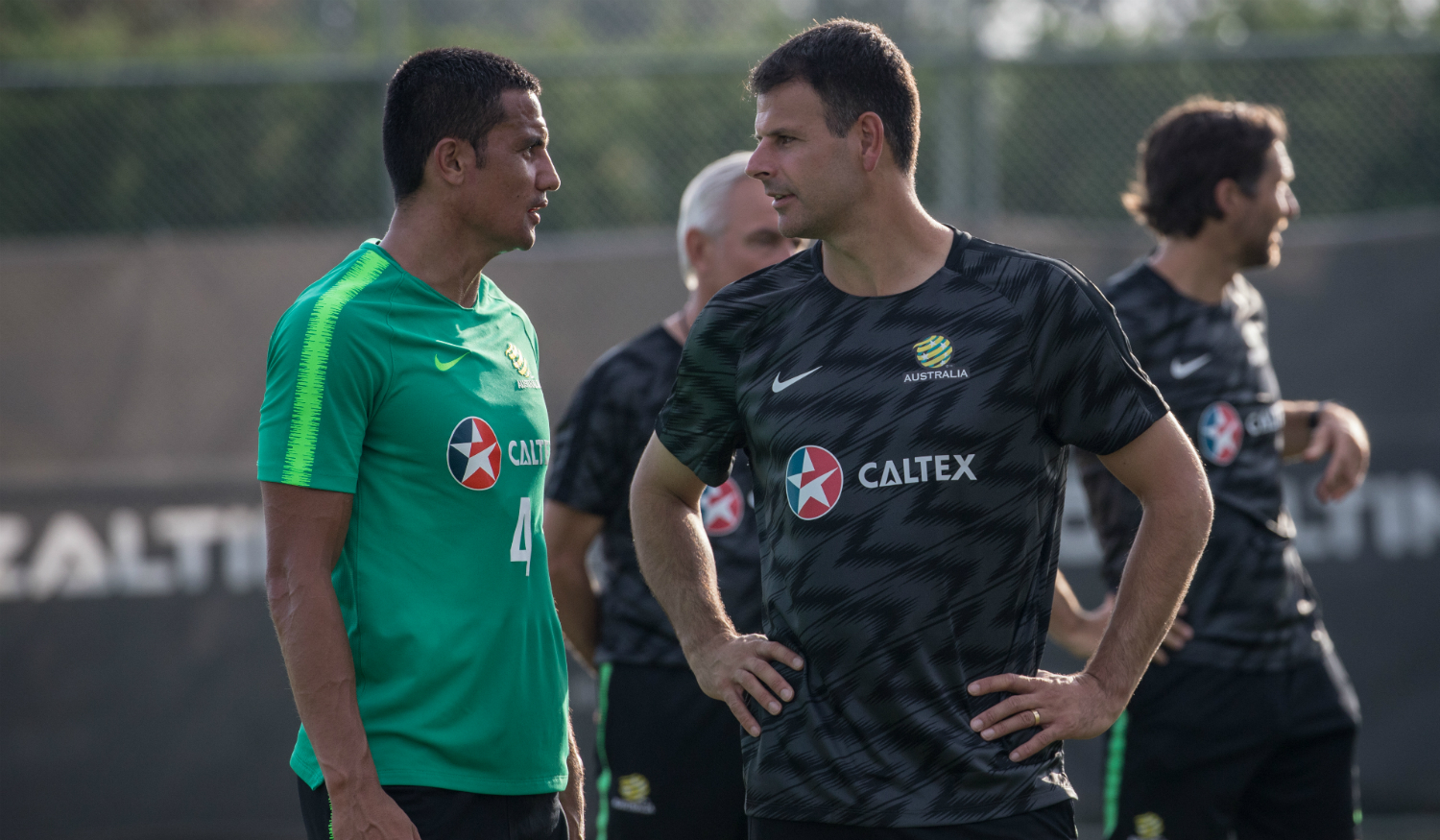 Tim Cahill and Mile Sterjovski