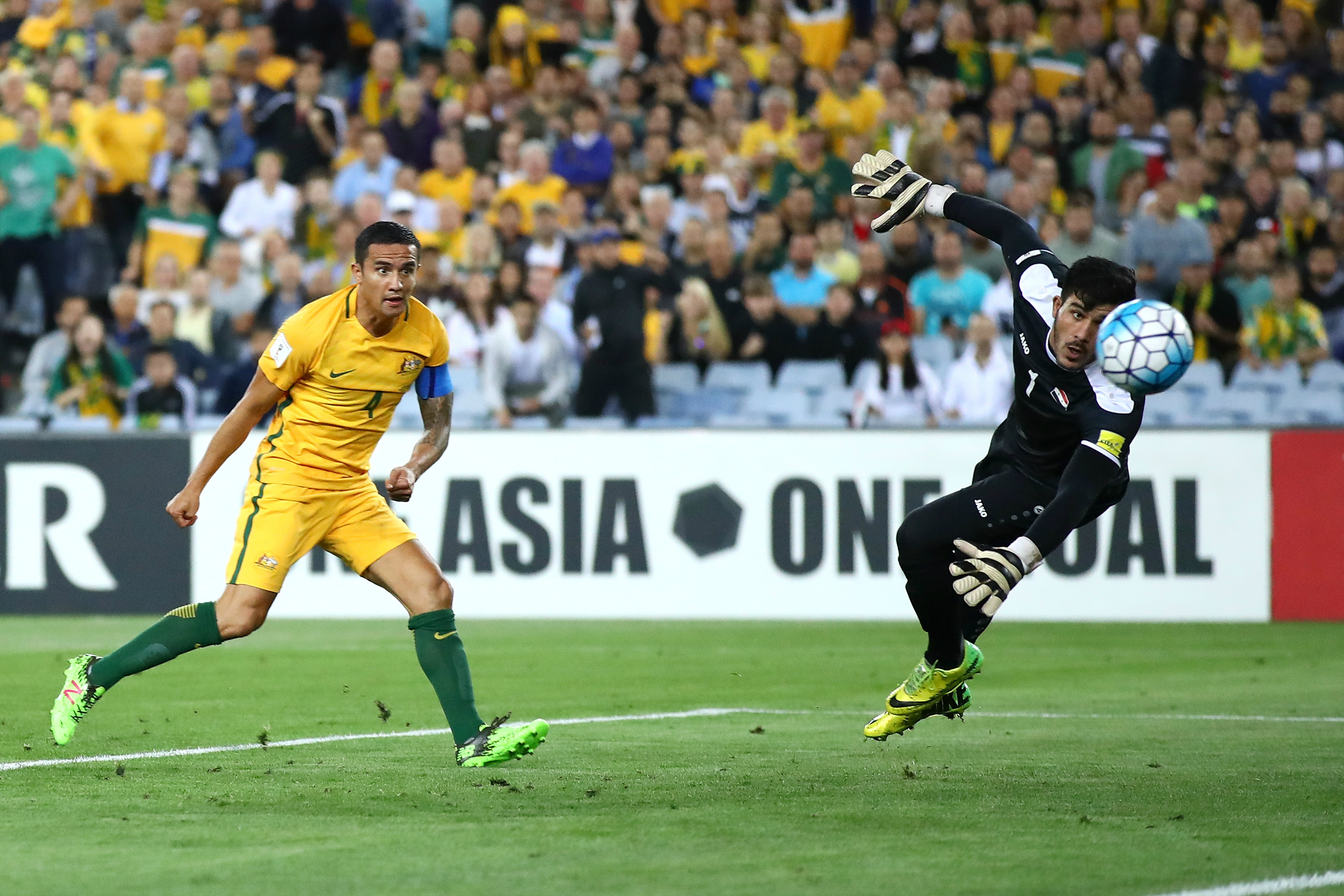 Tim Cahill