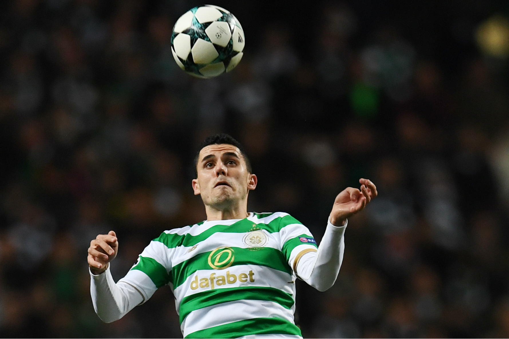 Rogic Rogic