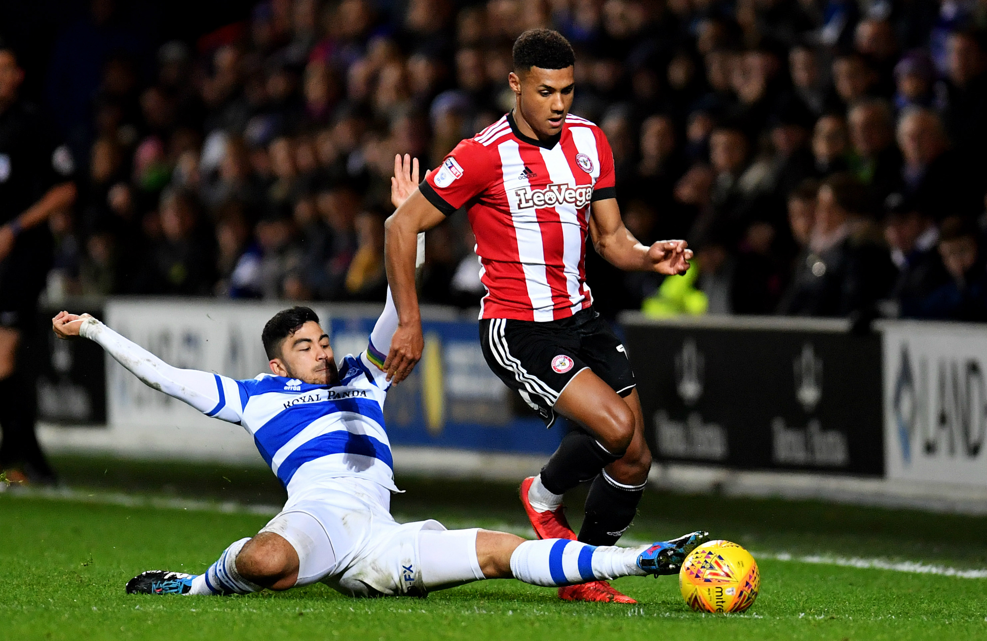 Massimo Luongo Massimo Luongo