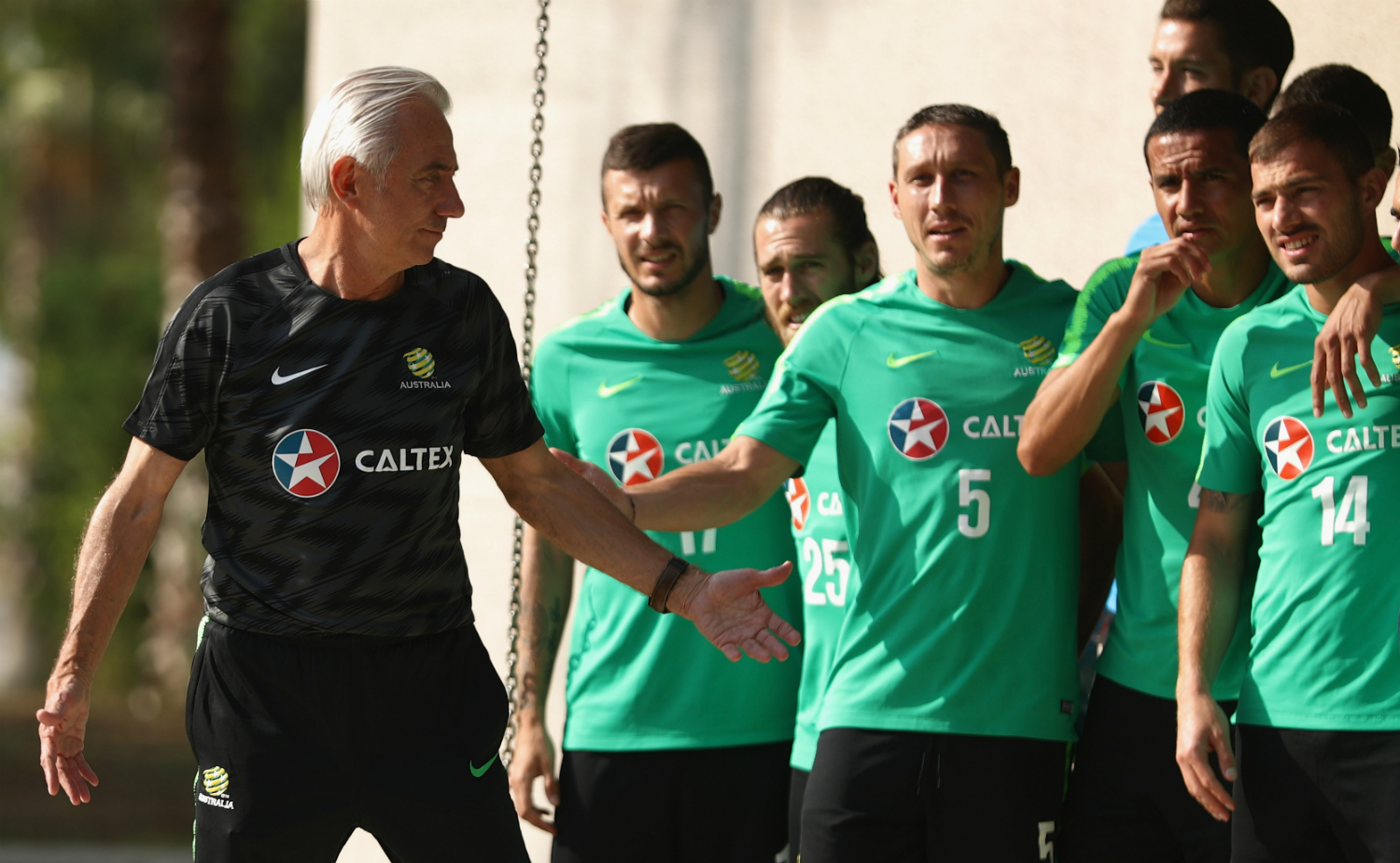Van Marwijk