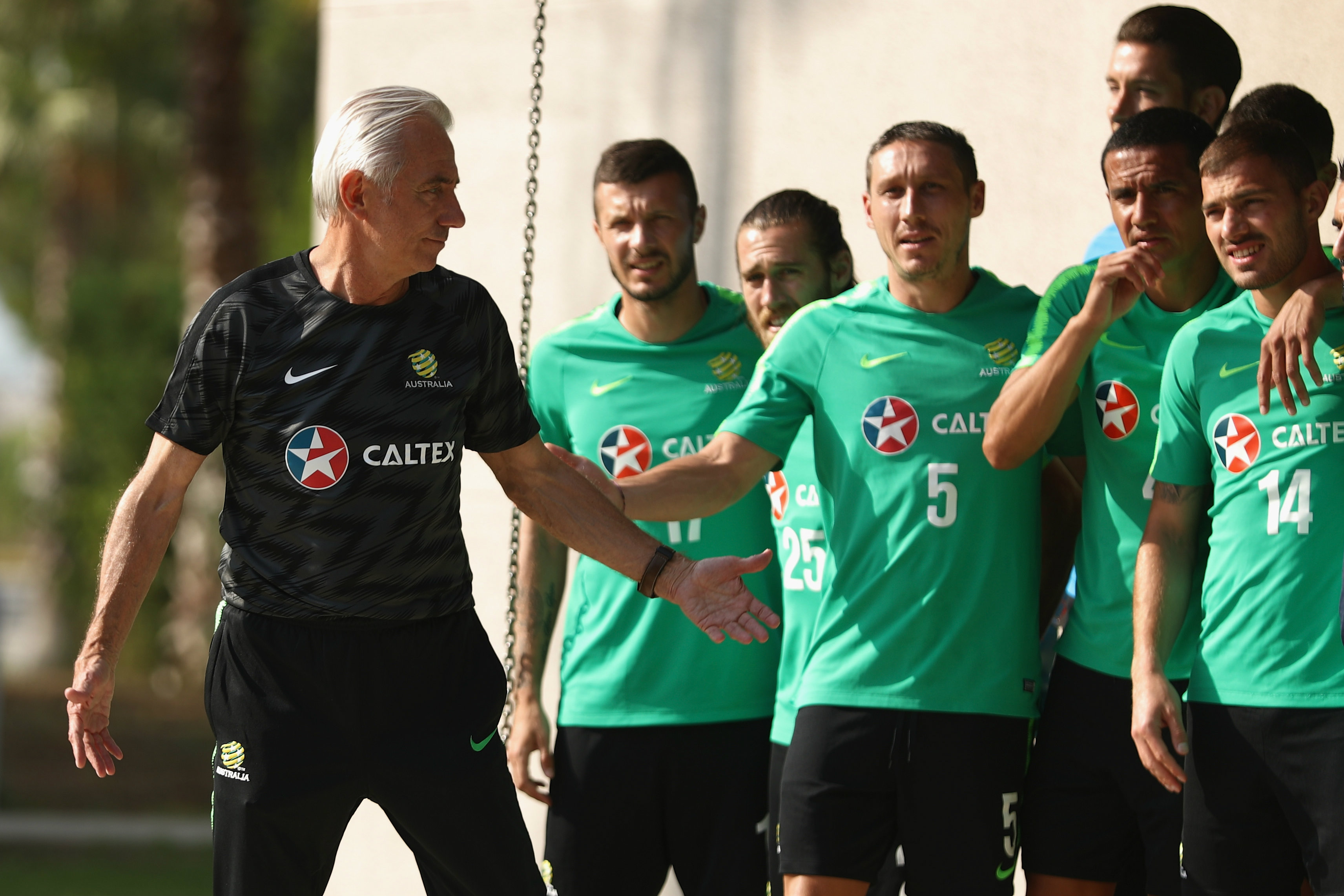 Bert van Marwijk