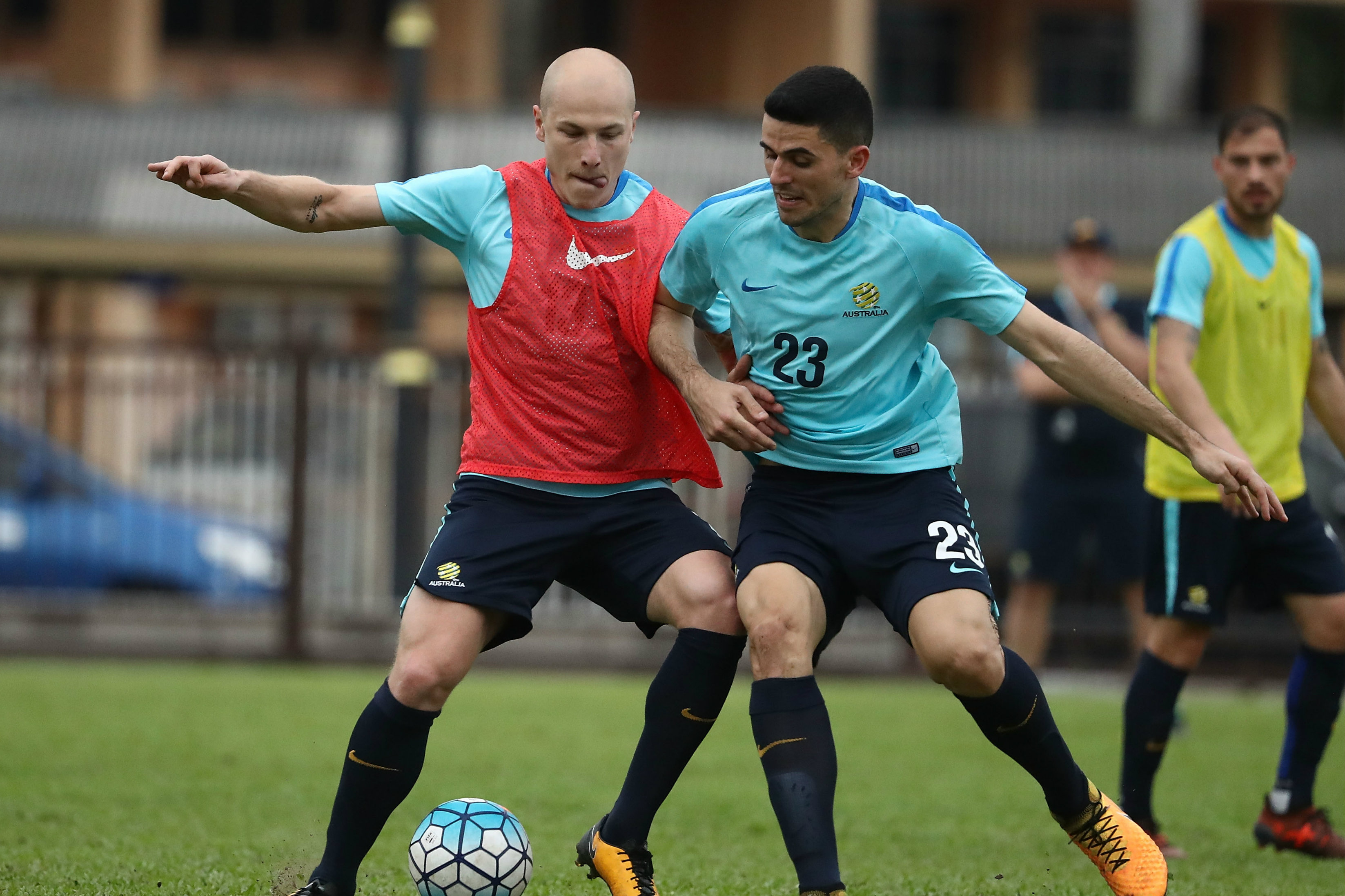Mooy; Rogic