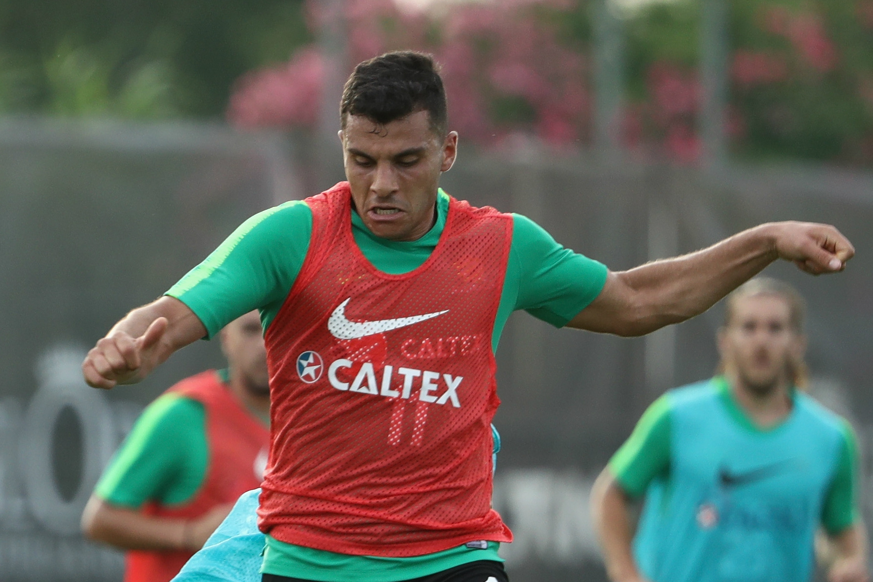 Andrew Nabbout