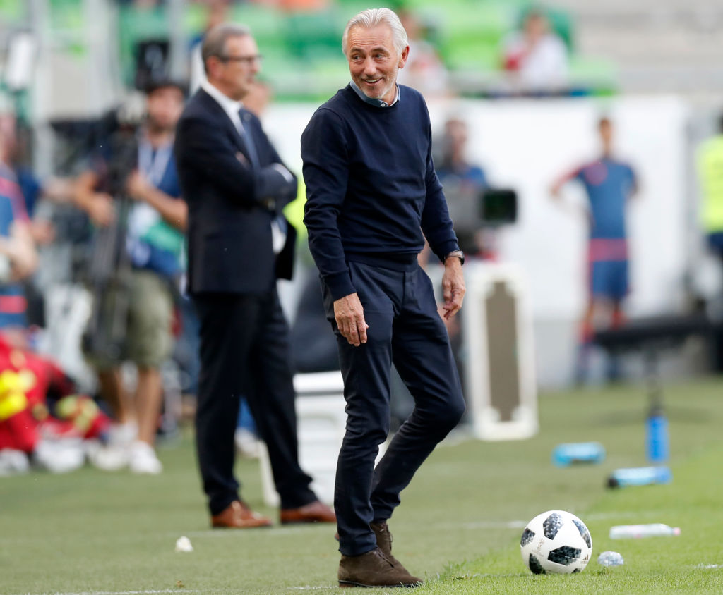 Bert van Marwijk during the Hungary game