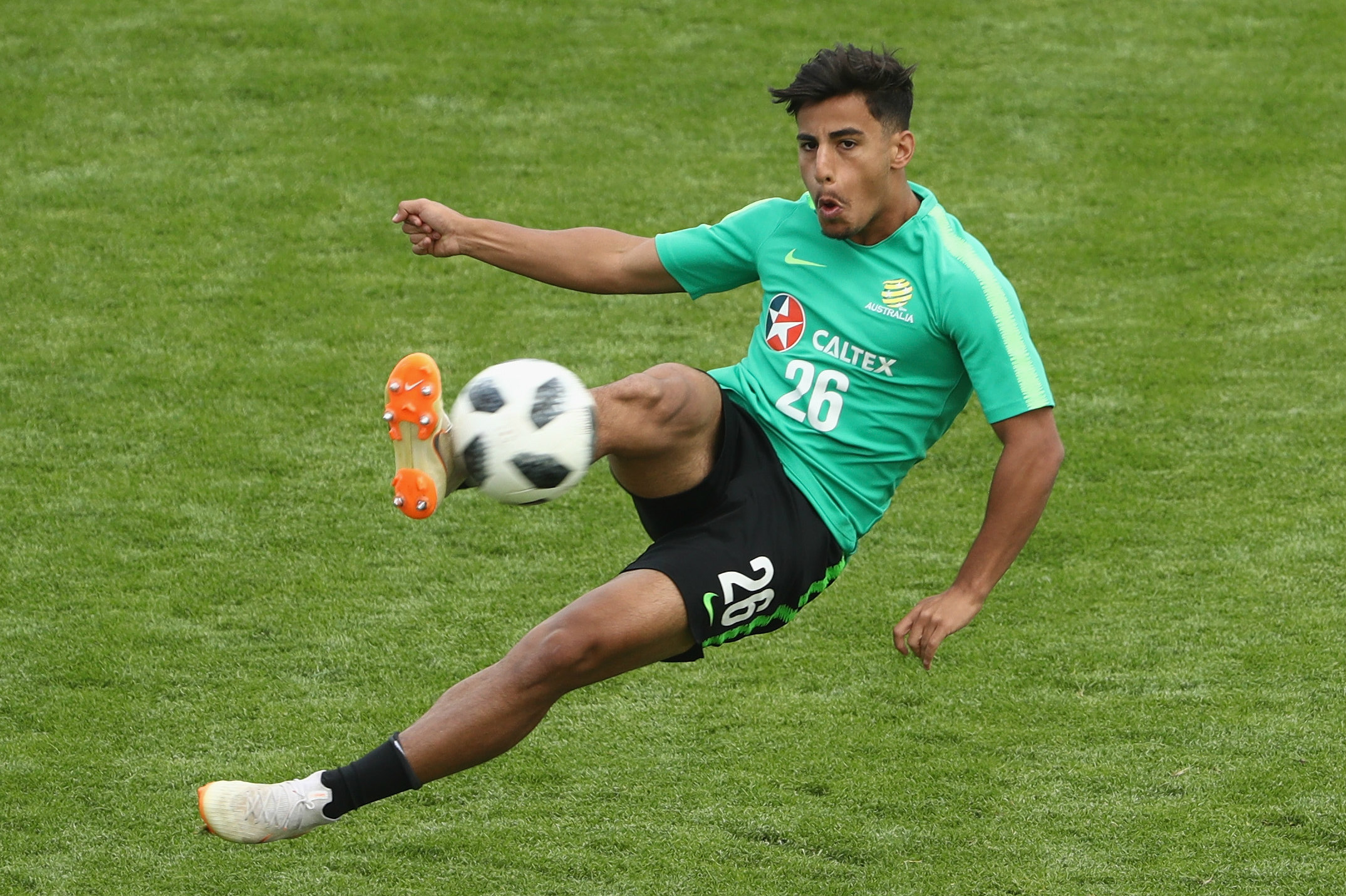 Daniel Arzani. Daniel Arzani.