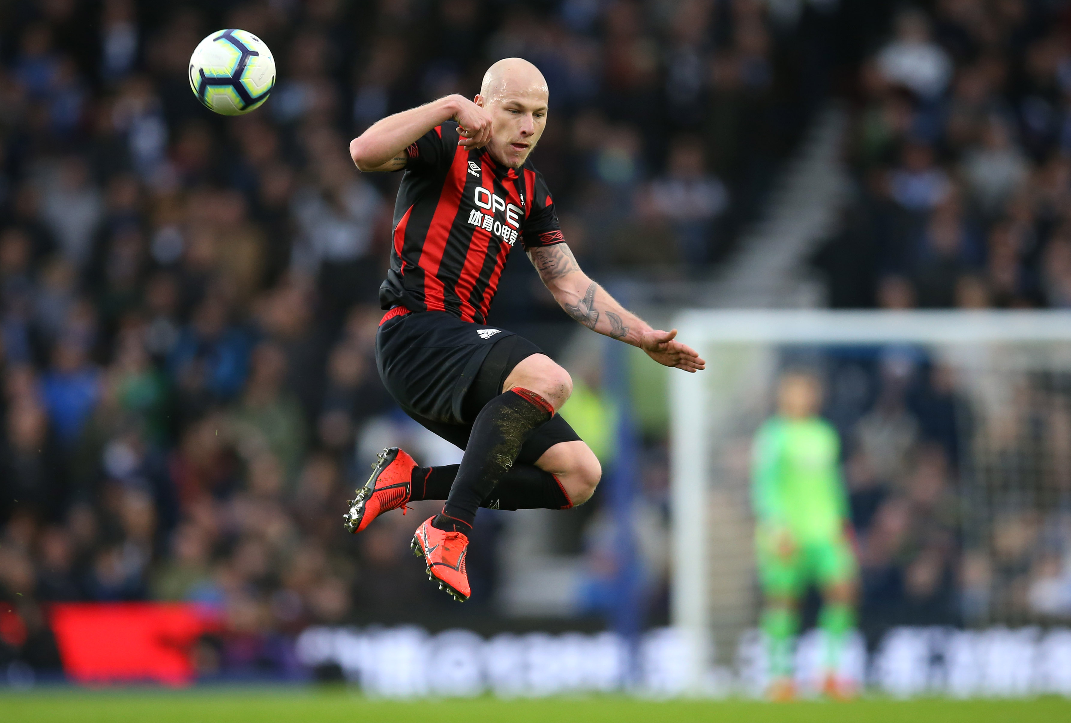 Mooy