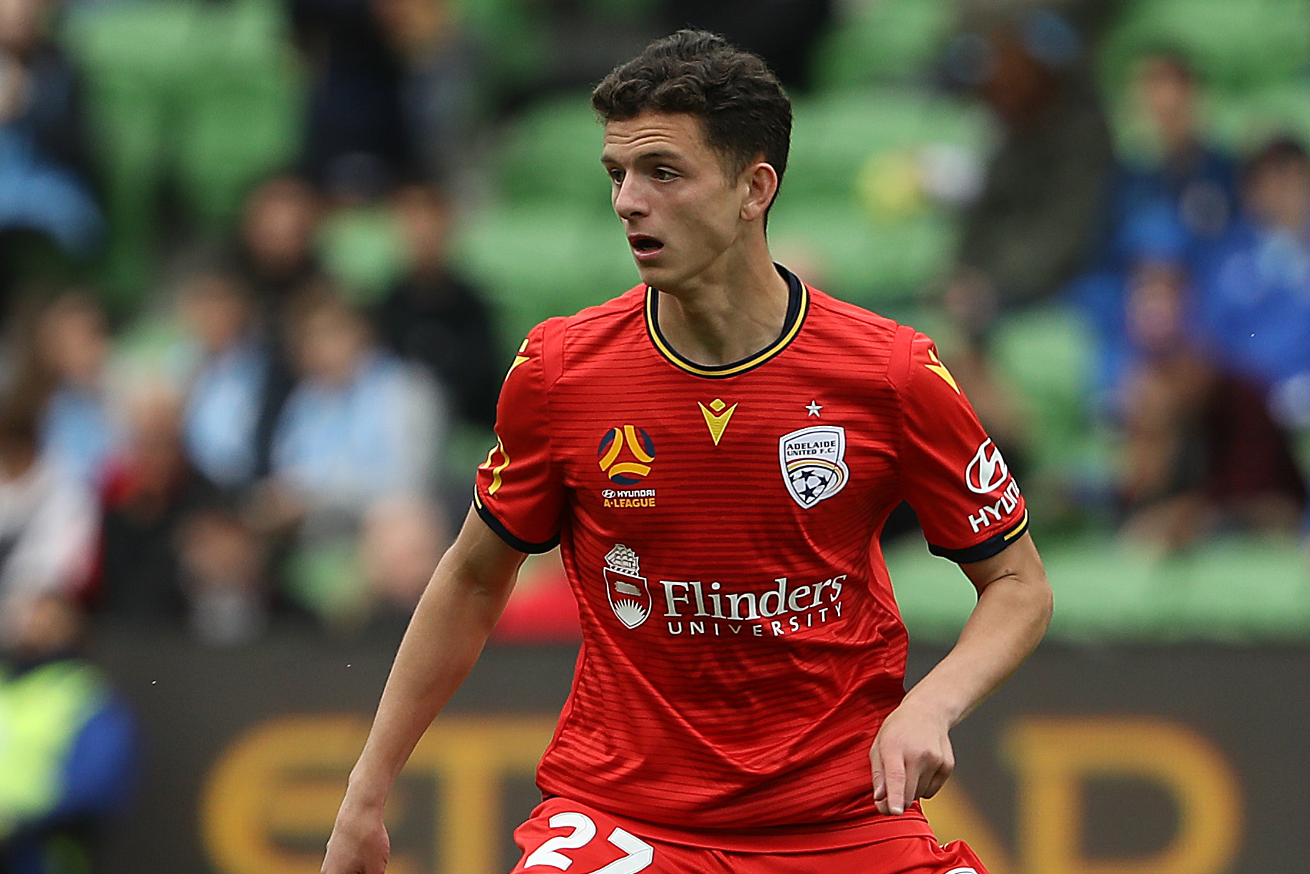 Adelaide United's Louis D'Arrigo