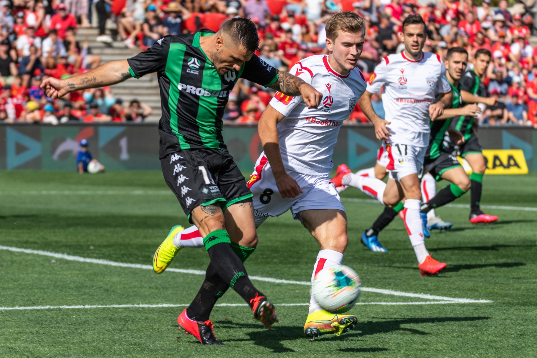 Josh Risdon
