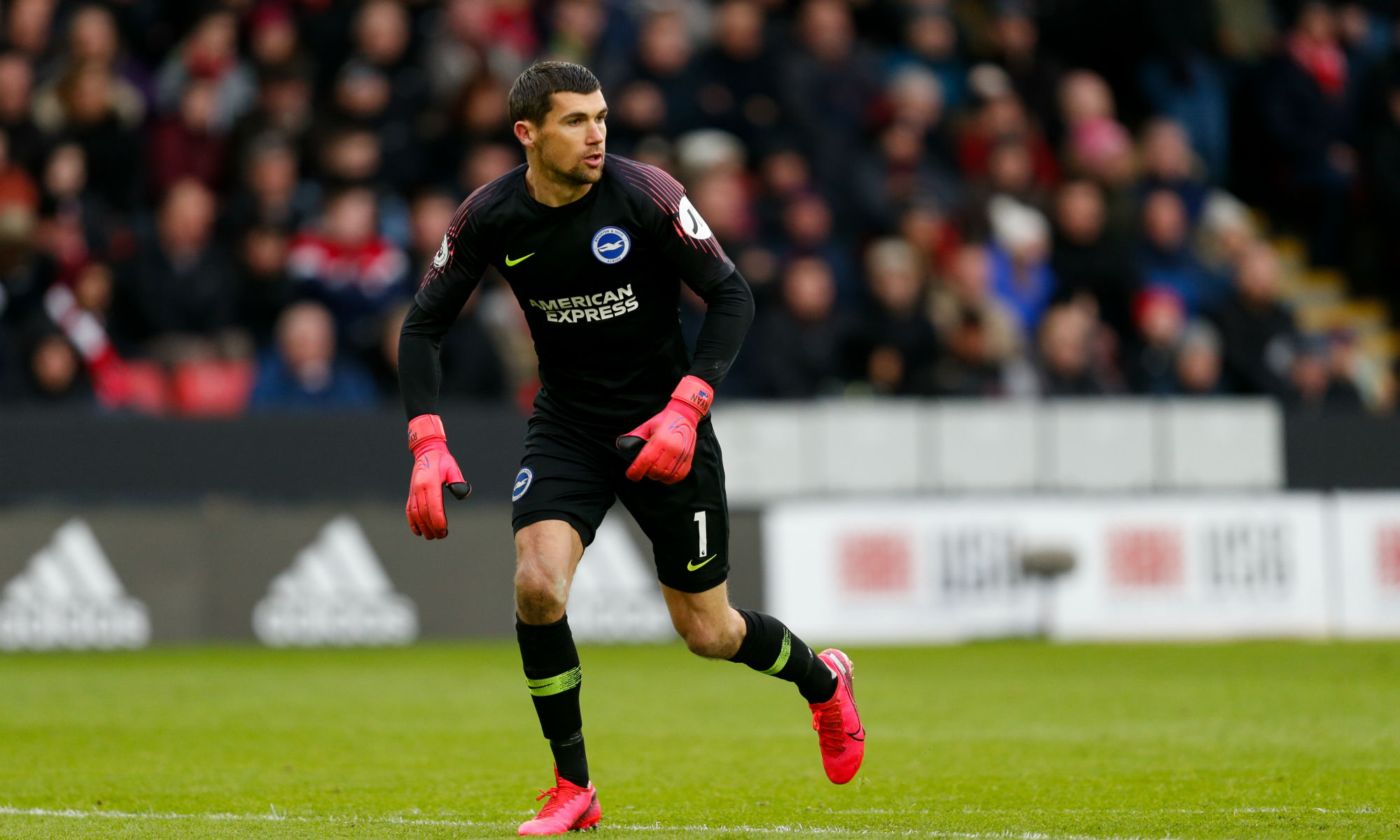 Mat Ryan