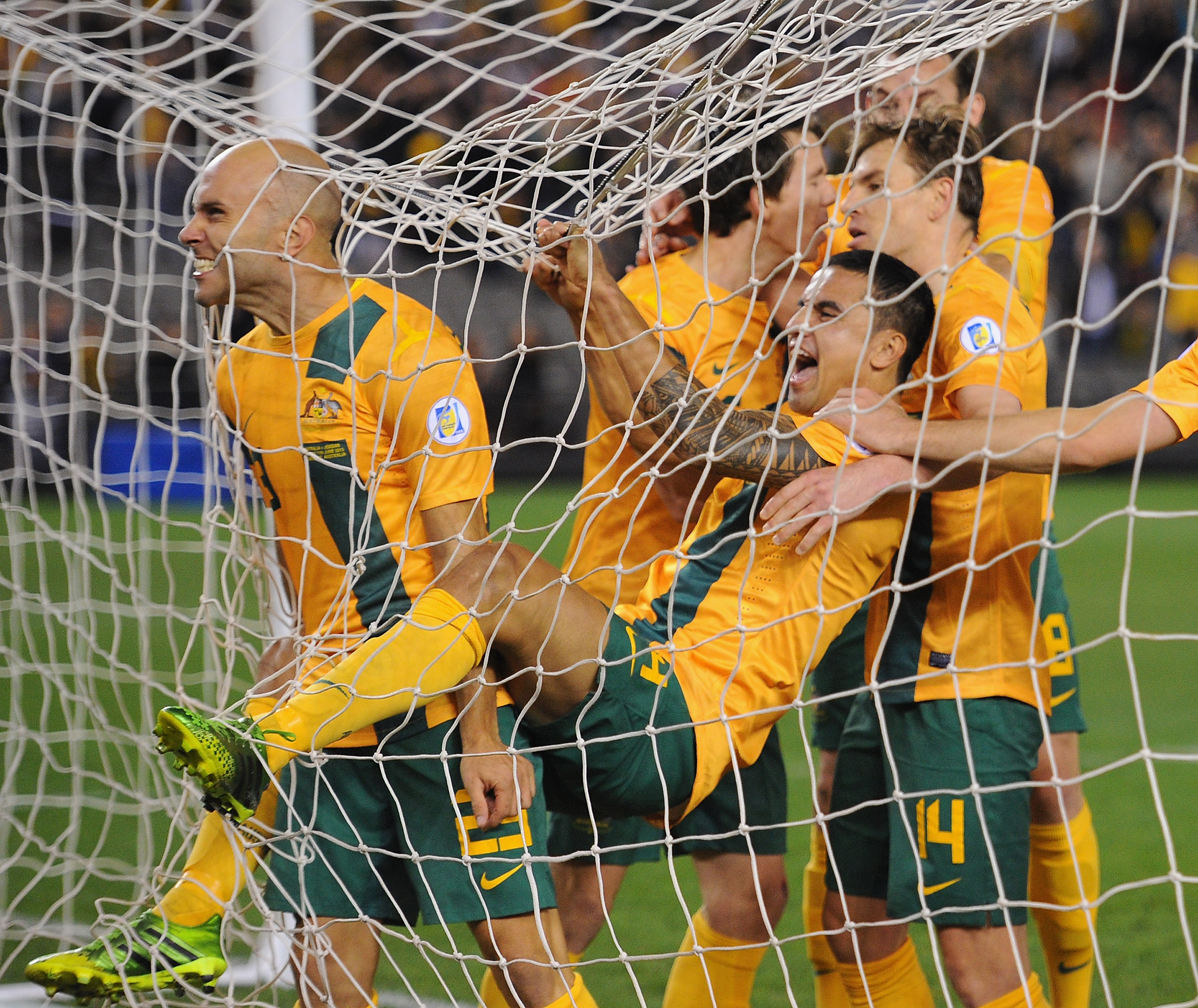 Mark Bresciano Socceroos v Jordan 2013