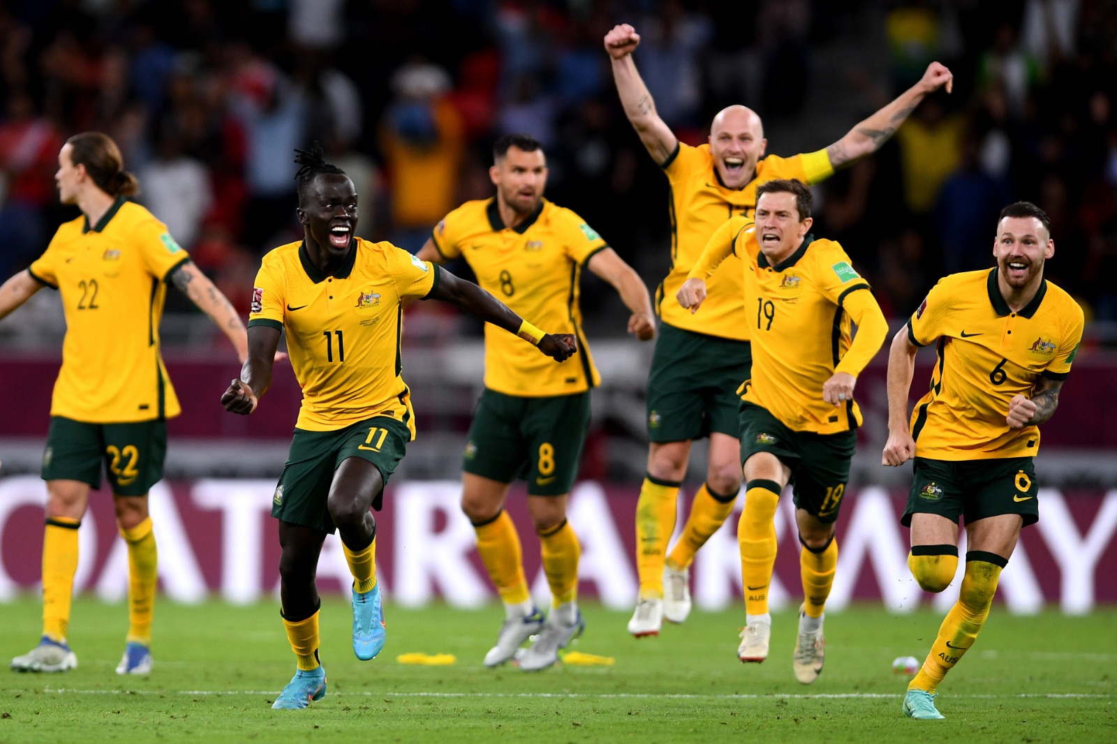 We've Qualified! Socceroos World Cup We've Qualified! Socceroos World Cup