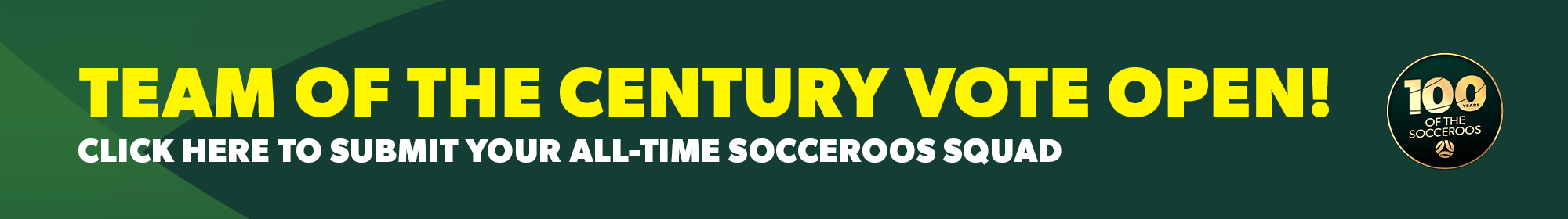 100 years team of the century vote thin banner