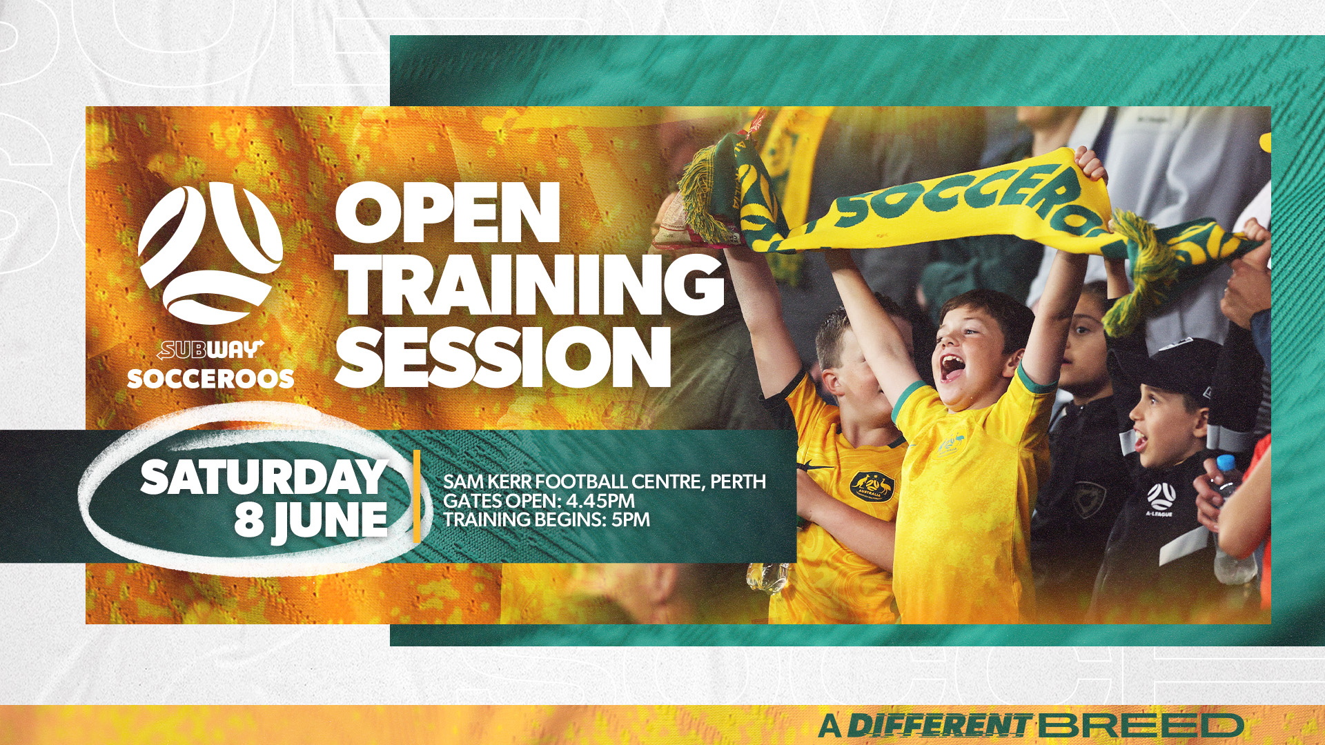 Open Training Session