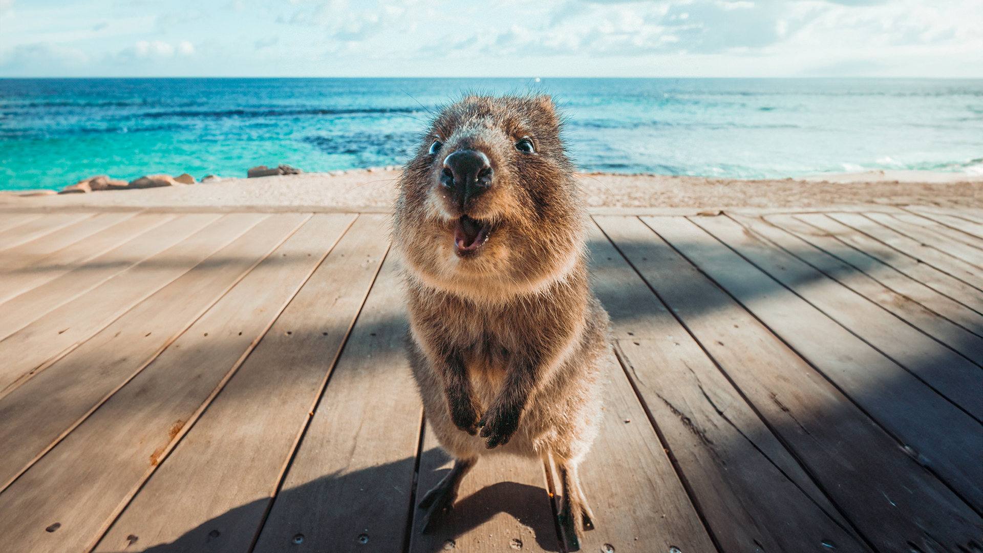 Rottnest Island