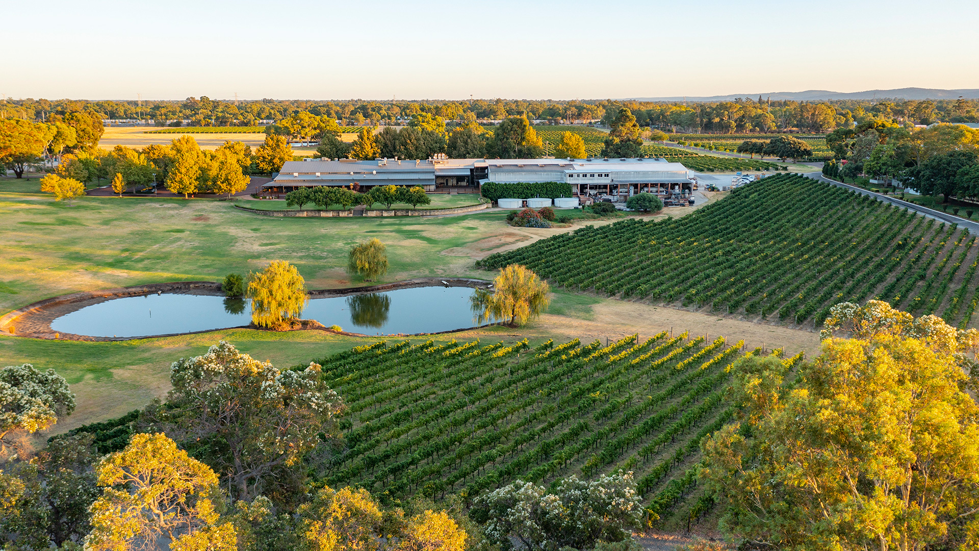 Swan Valley