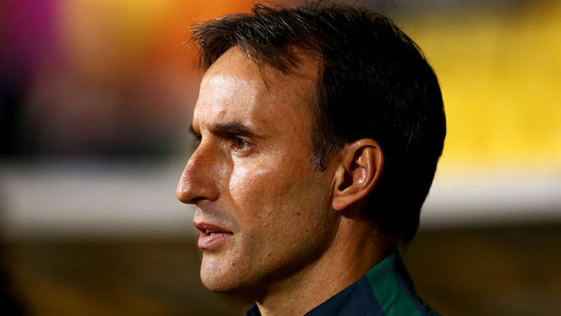 Olyroos coach Aurelio Vidmar watches on intently from the sideline.