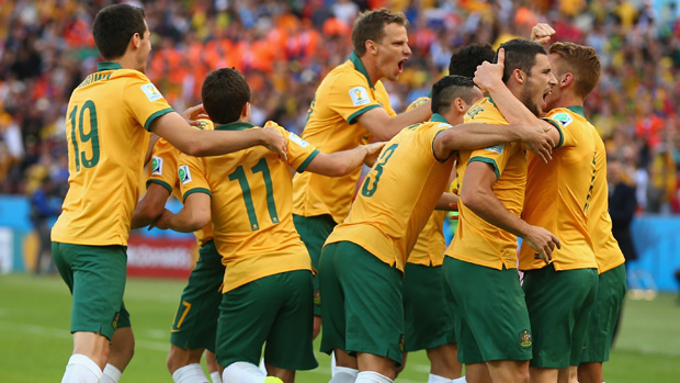 Socceroos players celebrate Mile Jedinak's goal against the Netherlands at the 2014 FIFA World Cup.