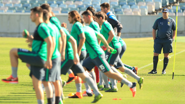 Coach Ange Postecoglou presides over Socceroos training in Canberra.