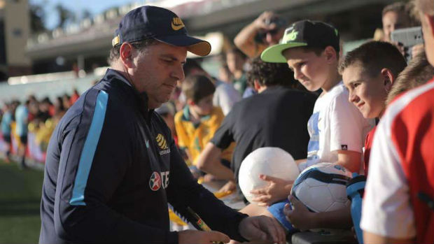 Ange Postecoglou