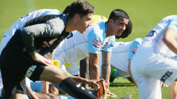 Tim Cahill
