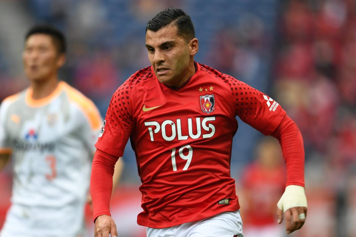 Andrew Nabbout