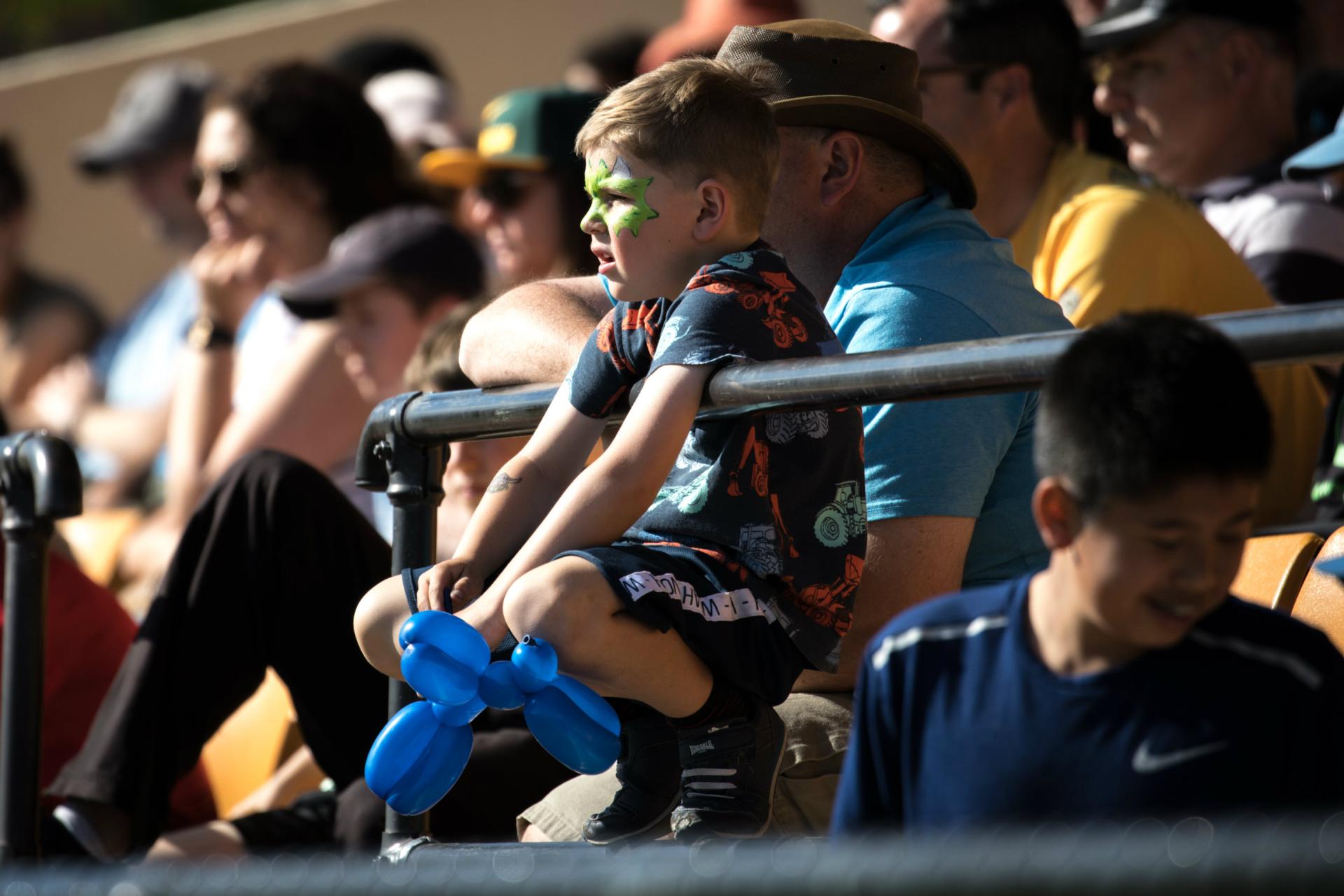 Caltex Socceroos training and fan day