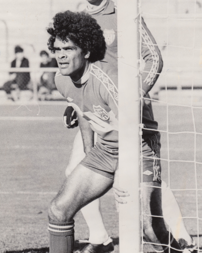 Harry Williams