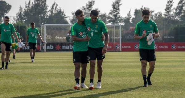 Arzani and Cahill