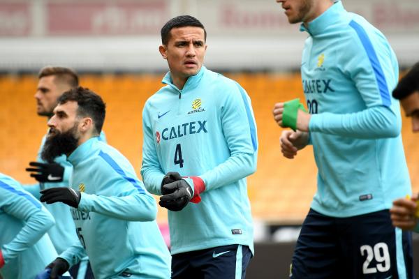 Tim Cahill