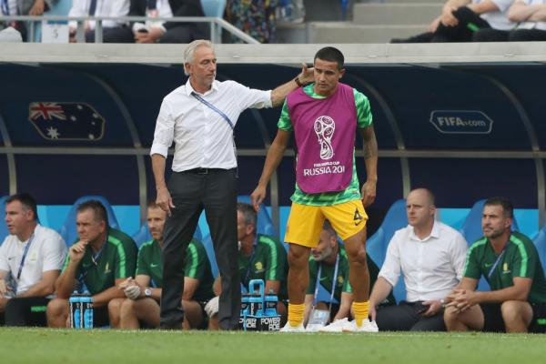van marwijk cahill