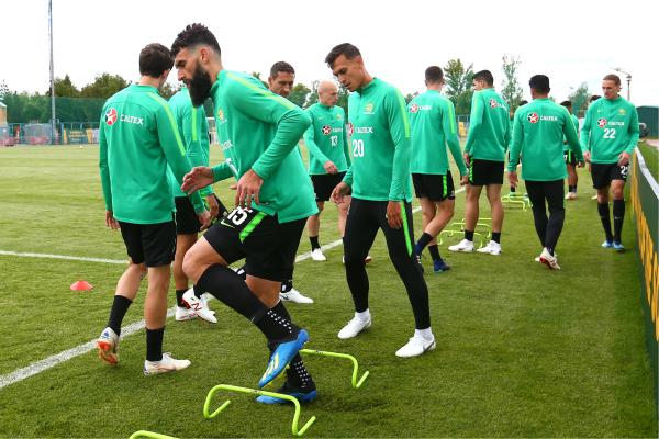 Mile Jedinak