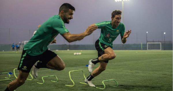 behich-milligan