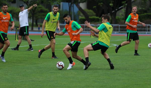 Behich 310519