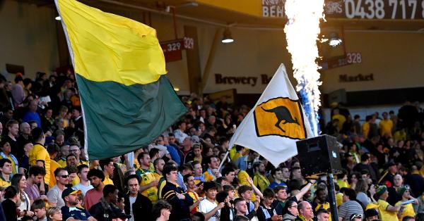 Socceroos crowd