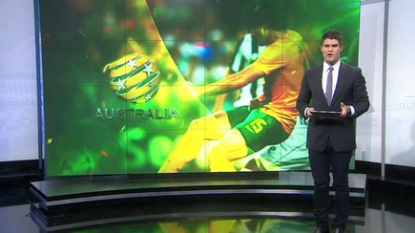 Brave Socceroos fall short