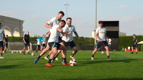 Graham Arnold lauds new inclusion Gethin Jones