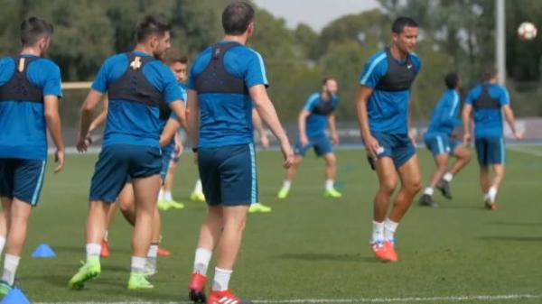 Socceroos coach's Cahill concern