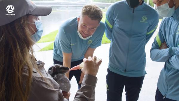 Souttar, Boyle & Karacic meet some furry friends 