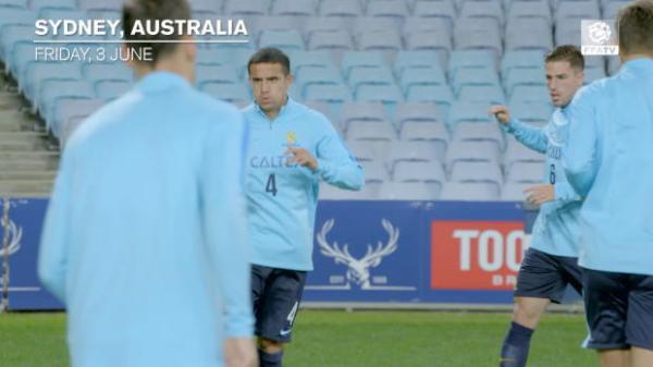 FFA TV | Cahill praises Postecoglou's press