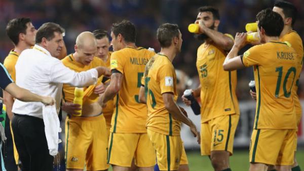 Caltex Socceroos boss Ange Postecoglou gives instructions to his side during their last World Cup Qualifier against Thailand.