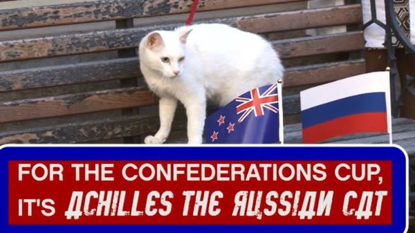 Achilles: the cat predicting matches at the Confederations Cup!