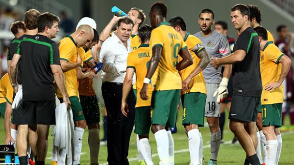 Ange Postecoglou talks to the Socceroos during a water break against Qatar.