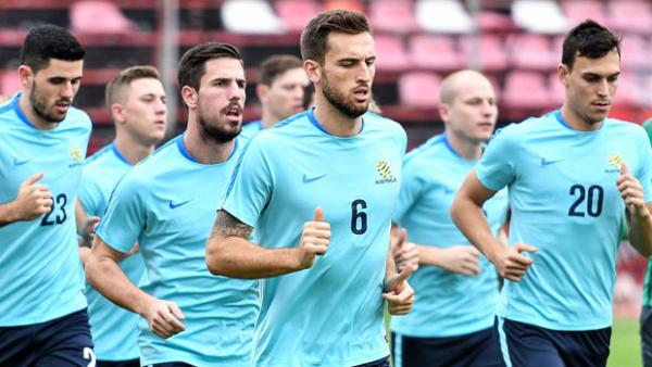 Matt Spiranovic is set for a stint on the sidelines through injury.