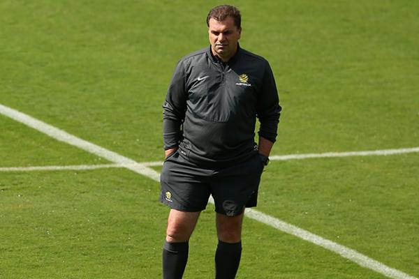 Postecoglou is confident Ivan Franjic will be fit for the World Cup.