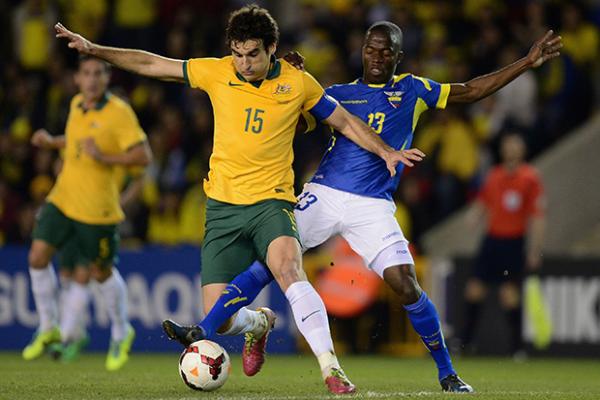 Socceroos fans will be hoping Mile Jedinak overcomes his groin injury in time for Brazil